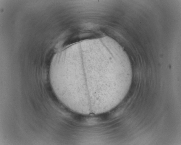 X0000076300268200610271922