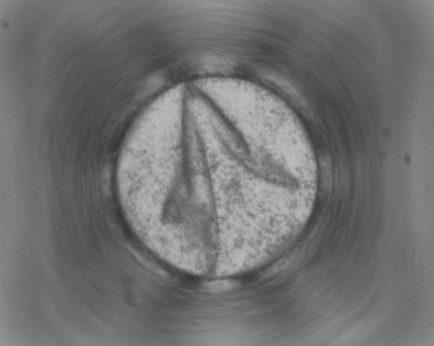 X0000076300269200610271922