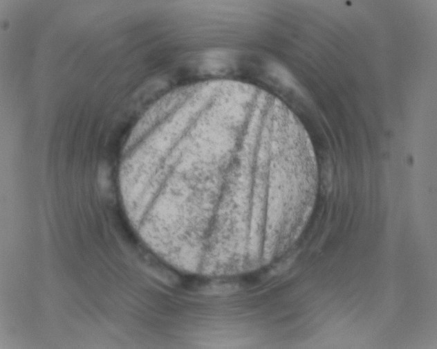 X0000076300270200610271922