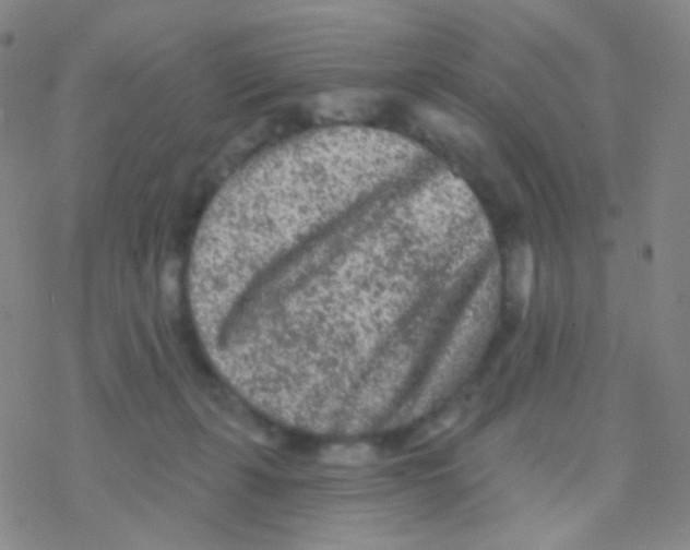 X0000076300271200610271922