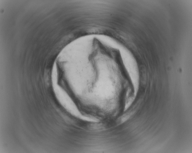 X0000076300273200610271922