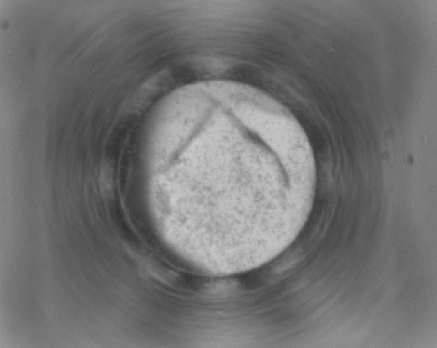 X0000076300274200610271922