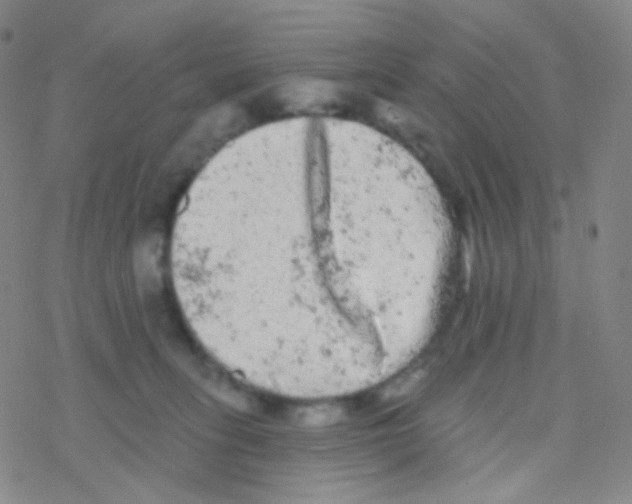 X0000076300275200610271922