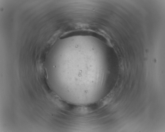 X0000076300276200610271922