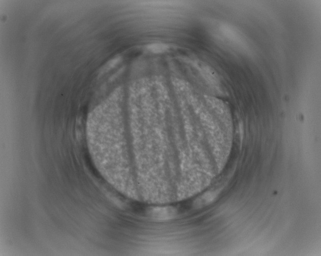 X0000076300277200610271922