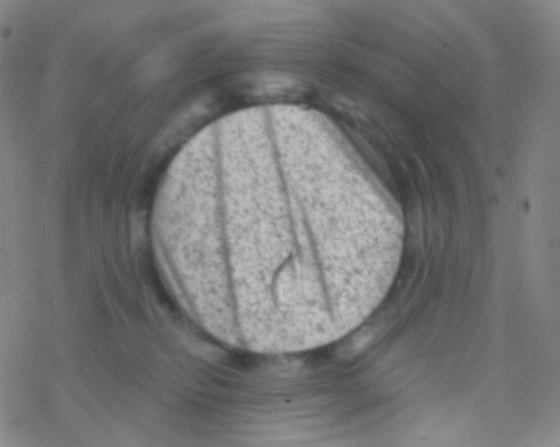 X0000076300278200610271922