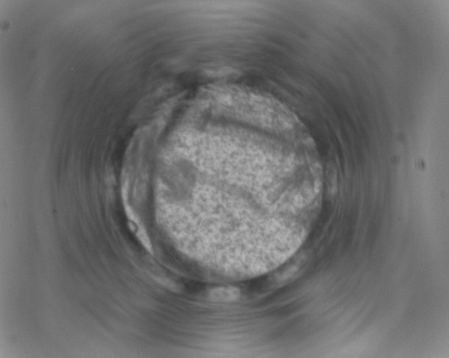 X0000076300279200610271922