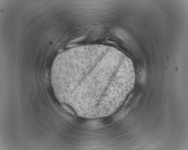 X0000076300280200610271922