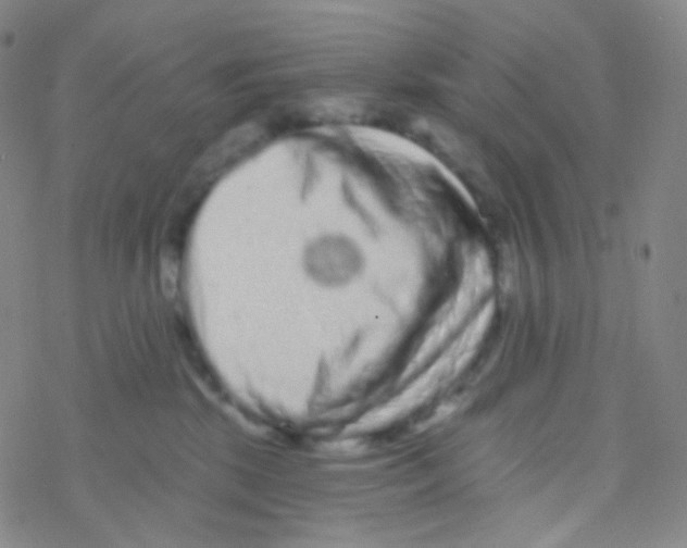 X0000076300281200610271922