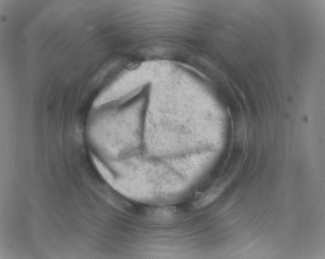 X0000076300282200610271922