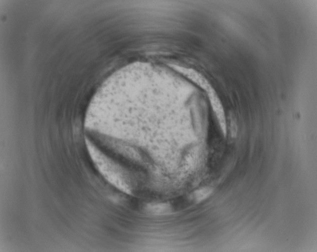 X0000076300283200610271922