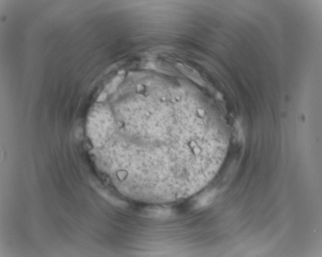 X0000076300284200610271922