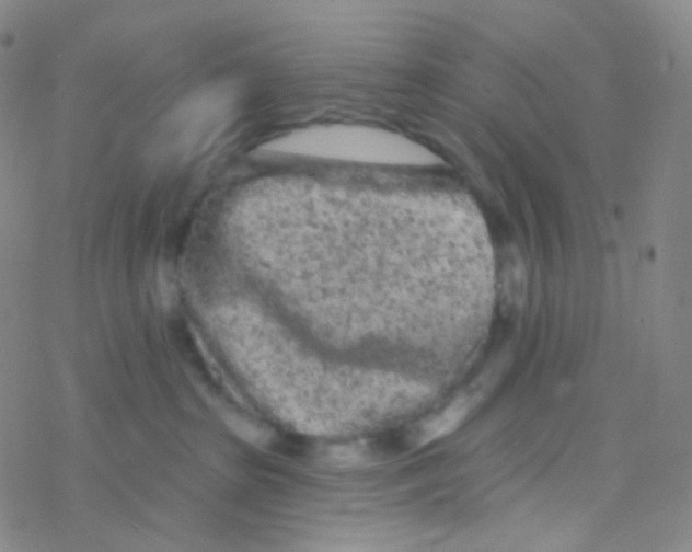 X0000076300285200610271922