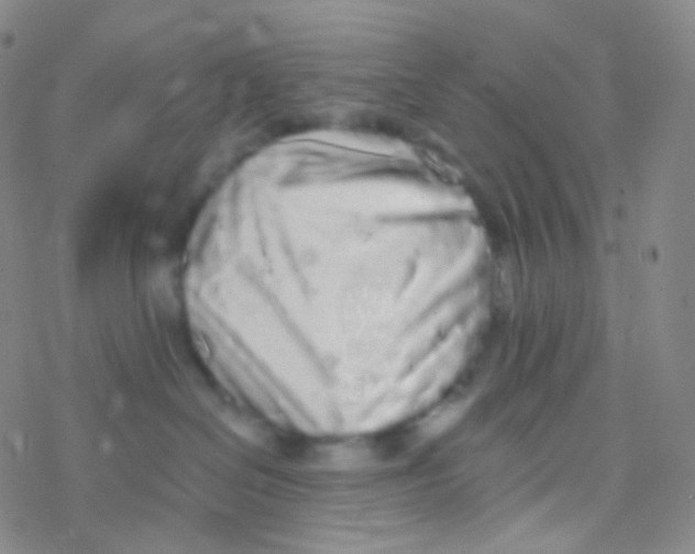 X0000076300286200610271922