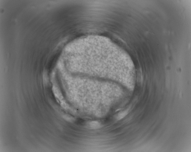 X0000076300287200610271922