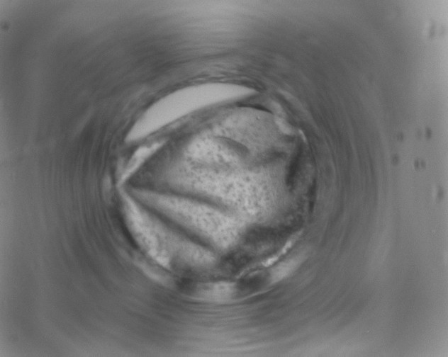 X0000076300288200610271922