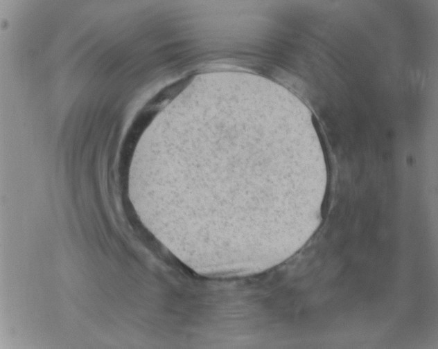 X0000076300289200610271921