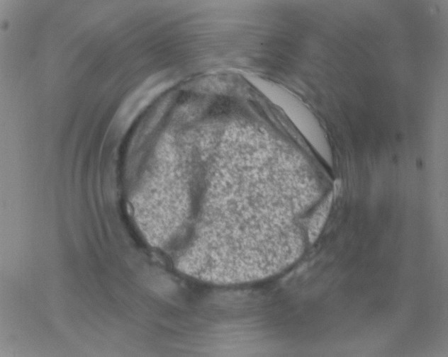 X0000076300291200610271921