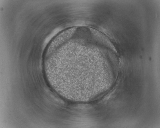 X0000076300292200610271921