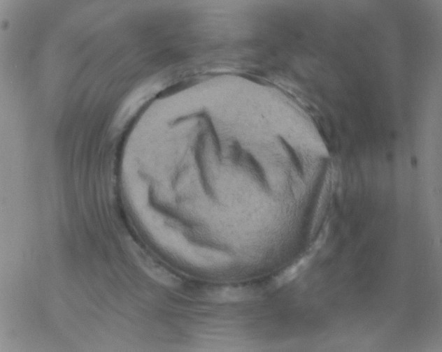 X0000076300293200610271921