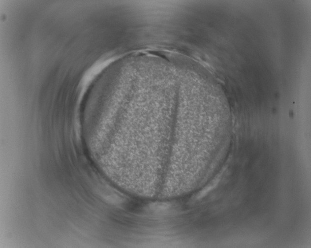 X0000076300294200610271921