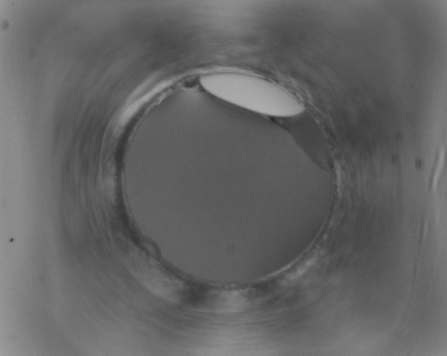 X0000076300295200610271921