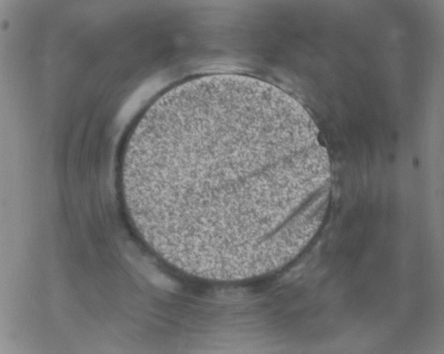 X0000076300296200610271921