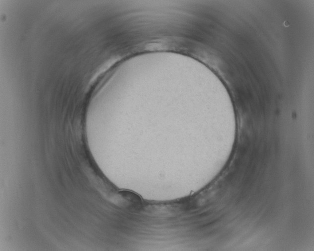 X0000076300297200610271921