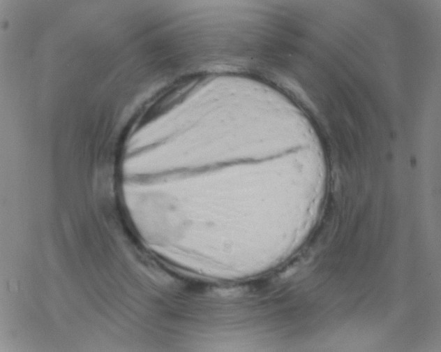 X0000076300299200610271921