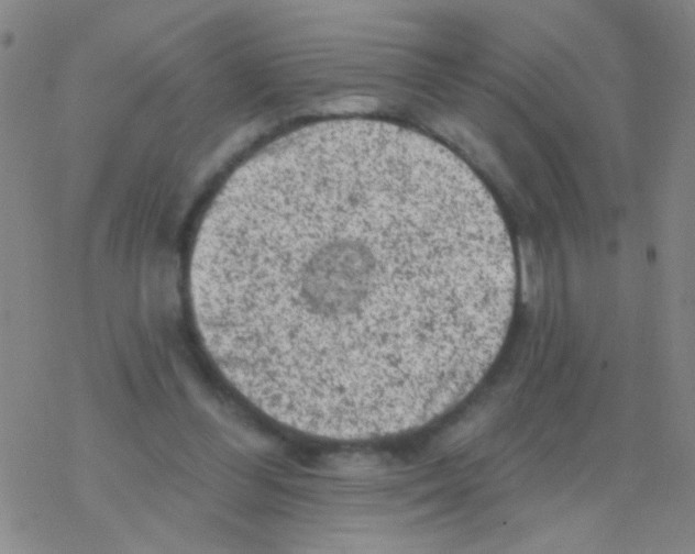 X0000076300300200610271921