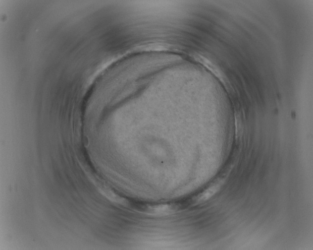 X0000076300301200610271921