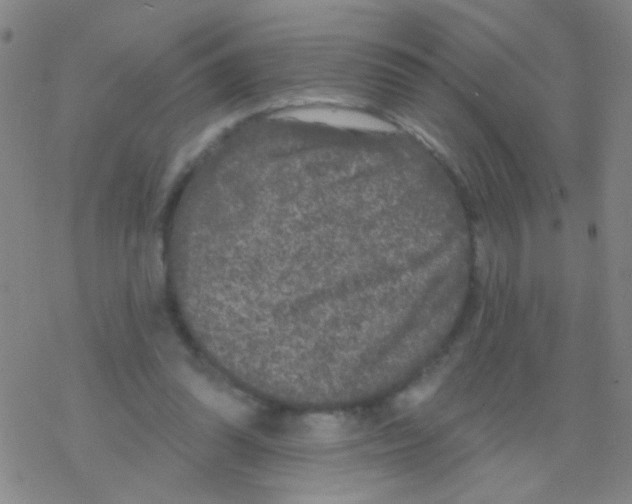 X0000076300302200610271921