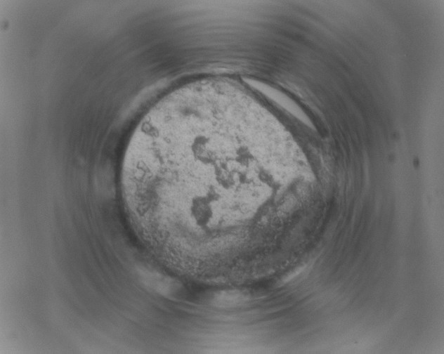 X0000076300303200610271921