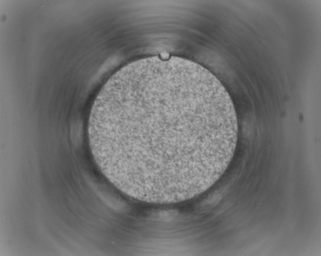 X0000076300304200610271921