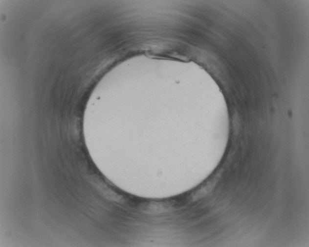 X0000076300305200610271921