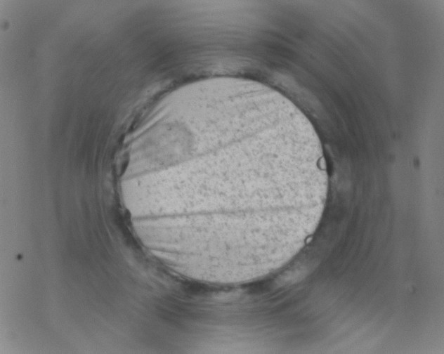 X0000076300306200610271921