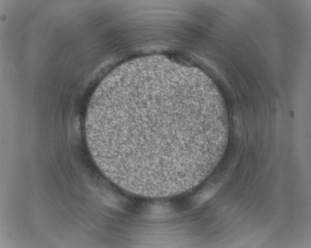 X0000076300308200610271921