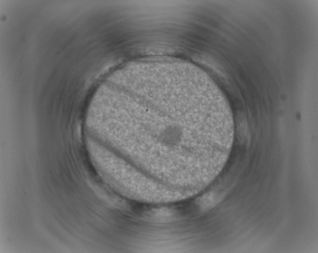 X0000076300310200610271921