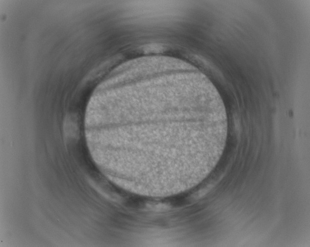 X0000076300311200610271921