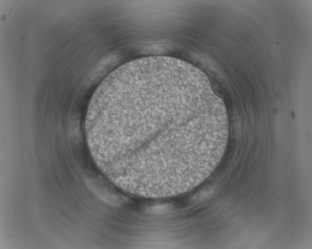 X0000076300312200610271921