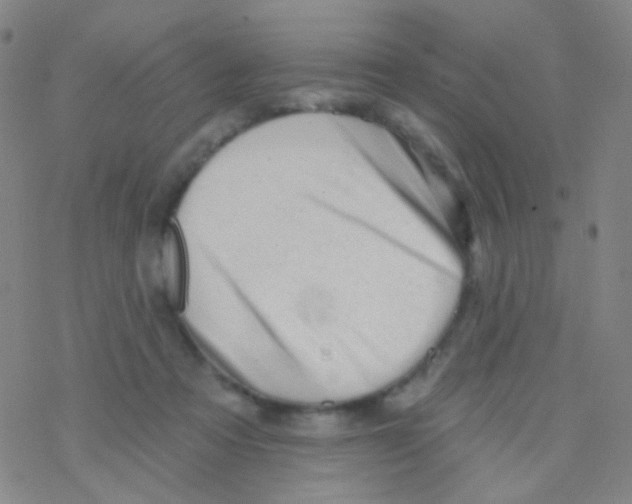 X0000076300313200610271921