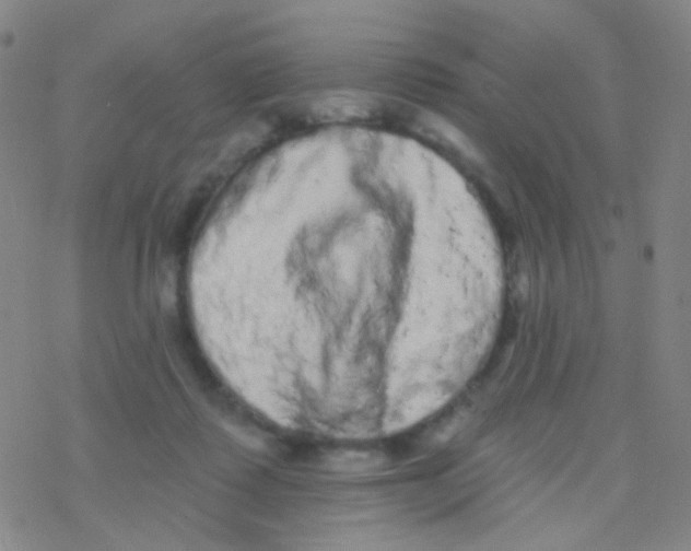 X0000076300315200610271921