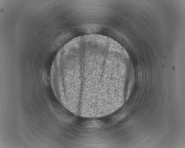 X0000076300316200610271921