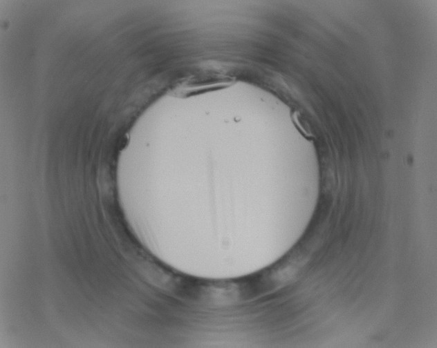 X0000076300317200610271921