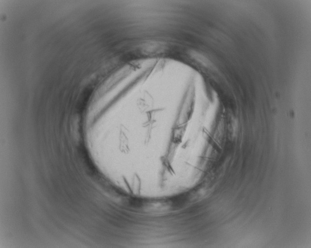 X0000076300319200610271921