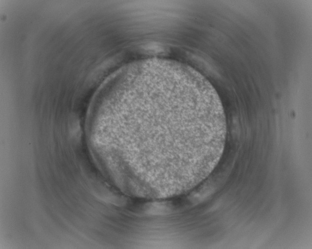 X0000076300320200610271921