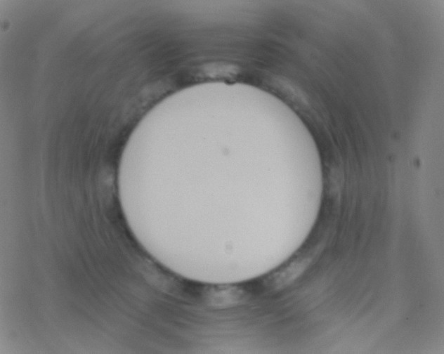 X0000076300321200610271921