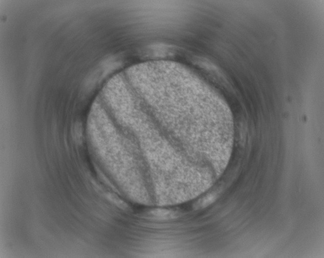 X0000076300326200610271920