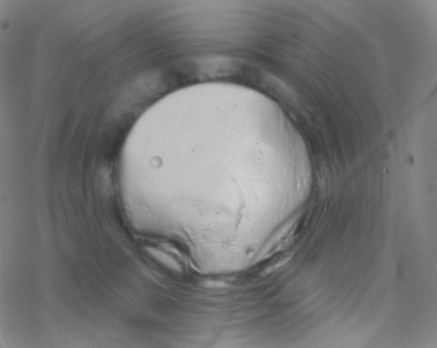 X0000076300327200610271920