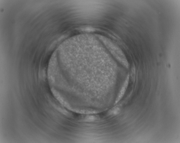 X0000076300330200610271920